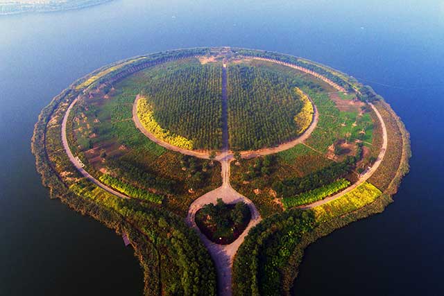 6-中新天津生態城綠化養護項目.jpg 6-中新天津生態城綠化養護項目.jpg